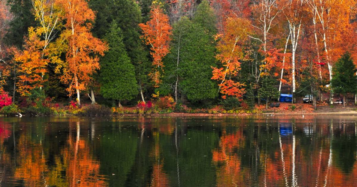 New York Finger Lakes Glen Grimes Park Autumn Scene 
